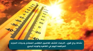 نشاط رياح قوي.. الأرصاد تكشف تفاصيل الطقس المعتدل ودرجات الحرارة المرتفعة اليوم في القاهرة والوجه البحري